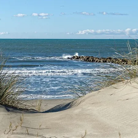 T2 Climatise Avec Terrasse, Parking A 100m De La - Fr-1-307-111 Lägenhet