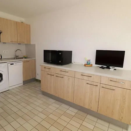 T2 Climatise Avec Terrasse, Parking A 100m De La - Fr-1-307-111 Apartment Le Grau-du-Roi